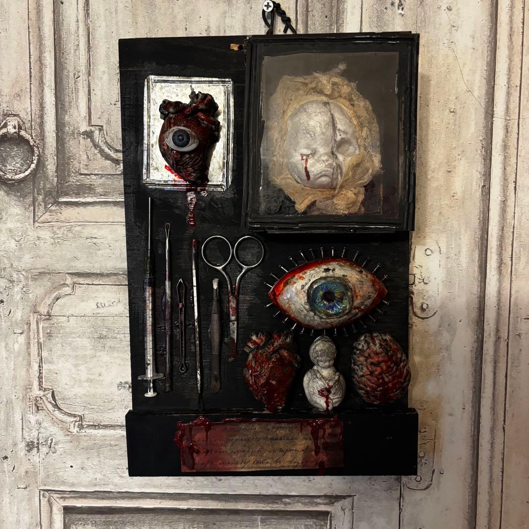 【Special Price】 赤子解剖オブジェ Dual Sex Life-Size Human Anatomy Model - 39 Parts - 68