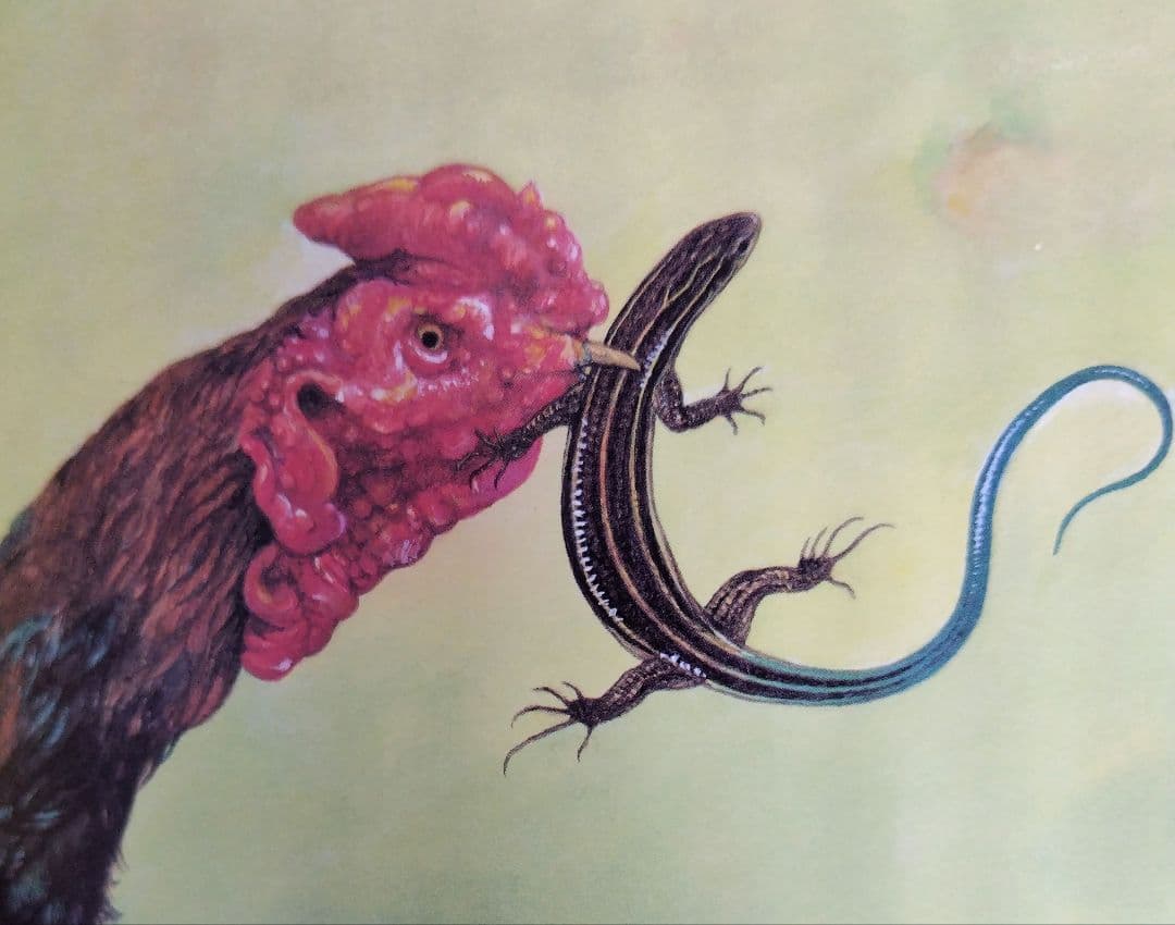 希少】とかげのしっぽ （新日本動物植物えほん） / 椋 鳩十他 - メルカリ