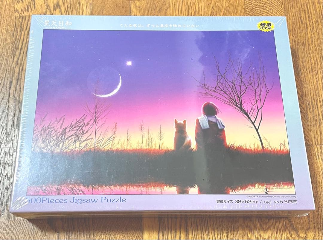 KAGAYA 星天日和 ルナ・ガーデン ジグソーパズル 500ピース【廃版】 YAM-10-1442 KAGAYA THE MOON -月の世界- 1000ピース やのまん の商品