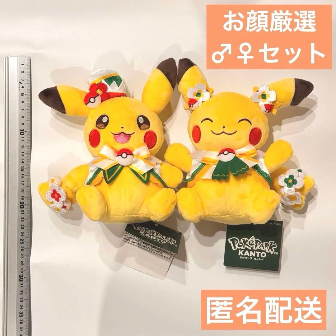 ピカチュウ オスメスセット】ポケパークカントー - メルカリ