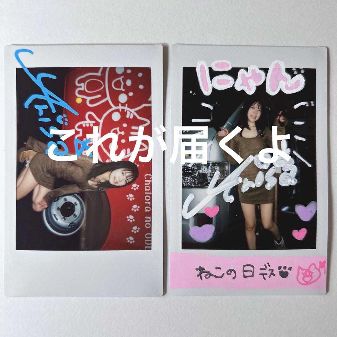 加藤ありさ 猫の日！お絵描きチェキとサイン入りチェキのセットA