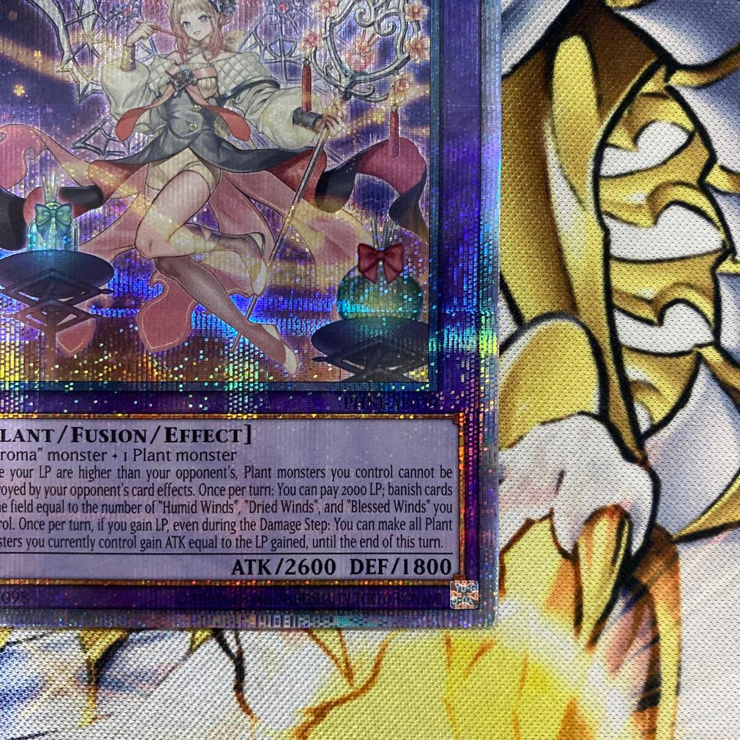 遊戯王 泰亜版 英語 アジア アロマリリス－マグノリア 25th クオシク