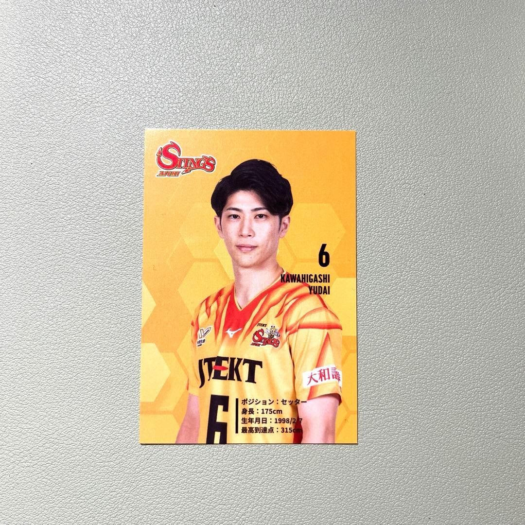 ジェイテクトSTINGS愛知『6 河東祐大選手』 - メルカリ
