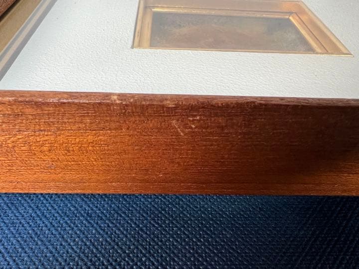 友浦清太郎 七宝「鳳凰」 額