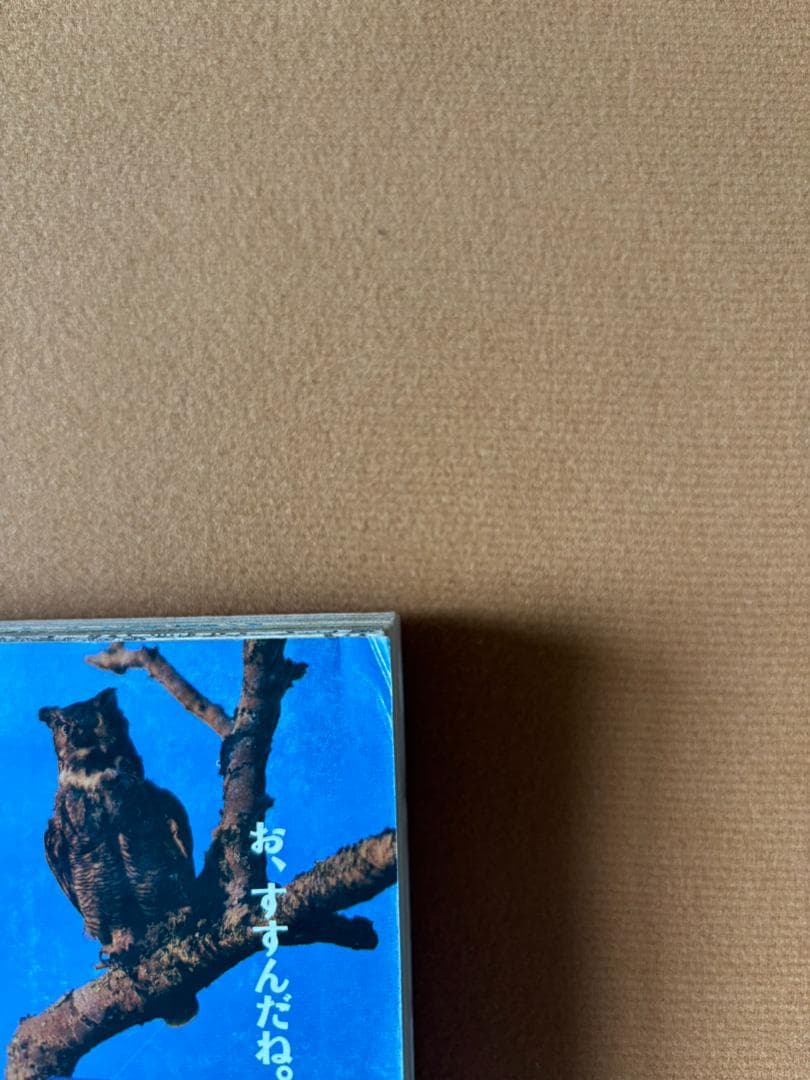 週刊少年ジャンプ 1988年 11月14日号 まじかる☆タルるートくん 初連載