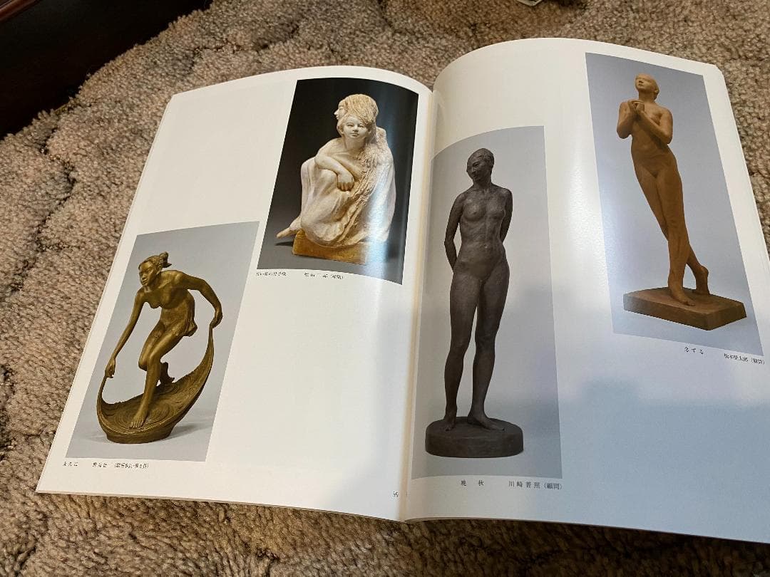 日展作品集38冊、日展アートガイド5冊、日展作品鑑賞