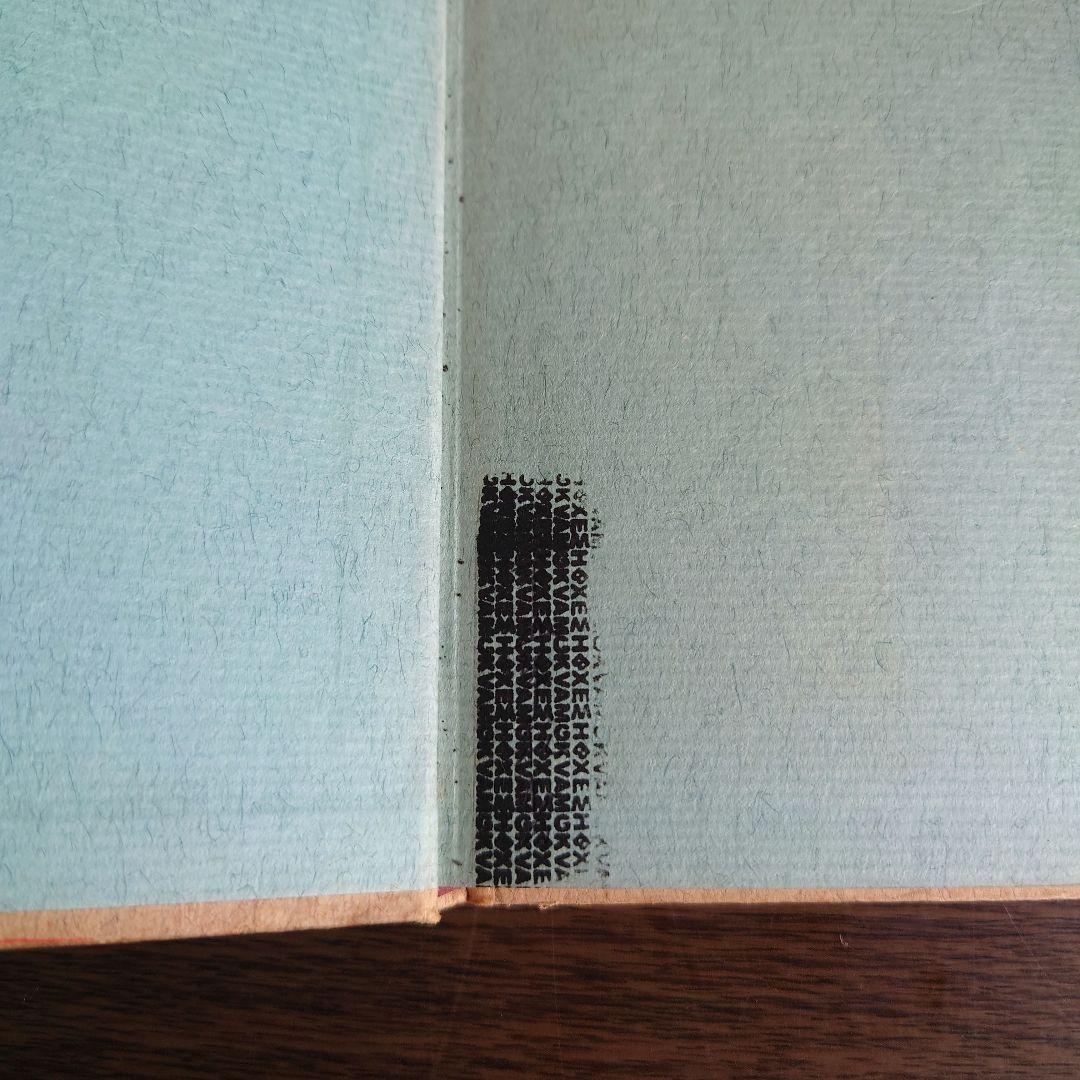 【超希少】本の中に生きる女たち