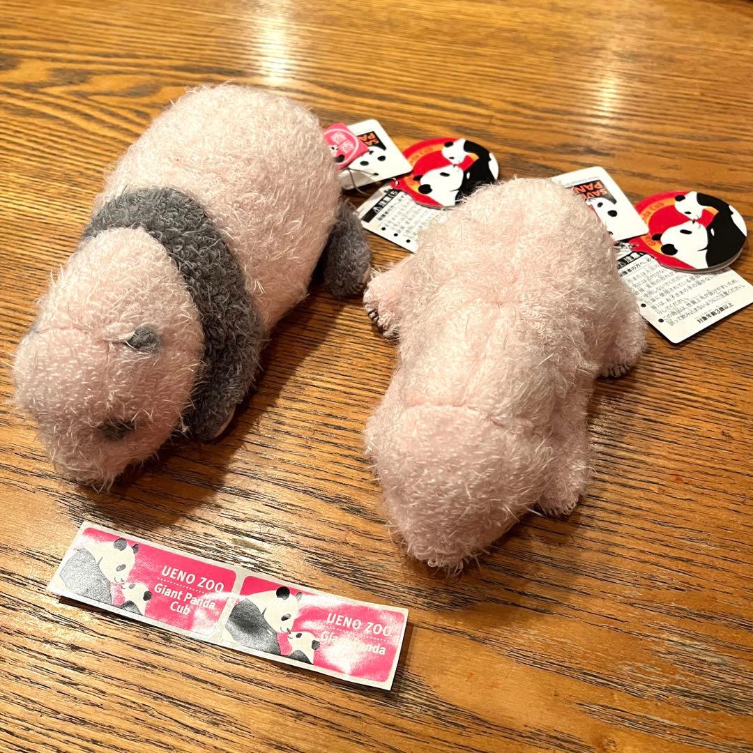 シャンシャン ぬいぐるみ「ほんとの大きさパンダの仔」 2体セット DVD