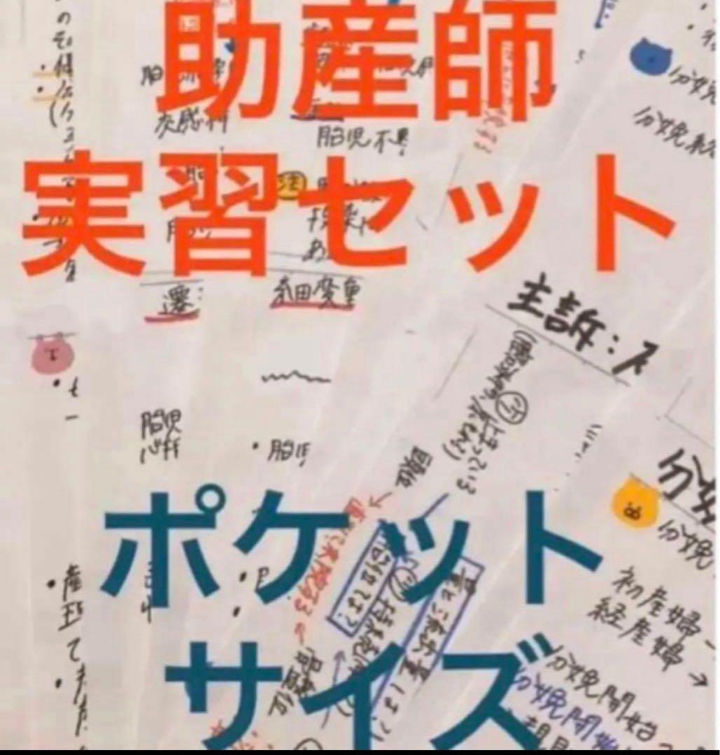 助産師 助産学生 実習乗り切りセット ポケットサイズ 事前学習 実習