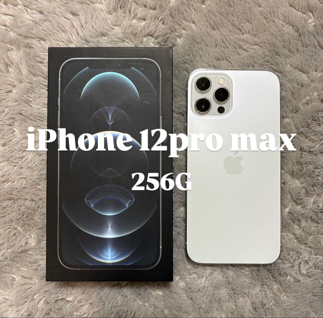 iPhone 12 Pro Max シルバー 256 GB SIMフリー - メルカリ