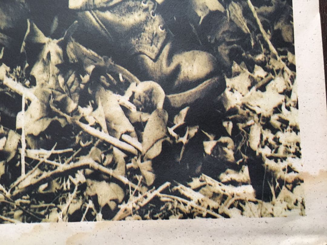 期間限定値下げ！ ★希少★ ミスチル『深海』販促用大判ポスター 美品