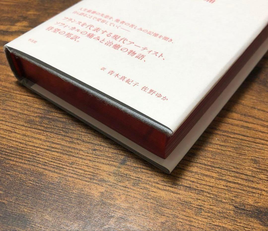 限局性激痛 Douleur exquise ソフィ・カル