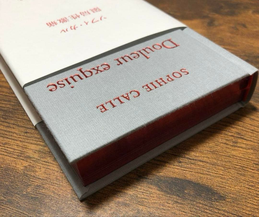 限局性激痛 Douleur exquise ソフィ・カル