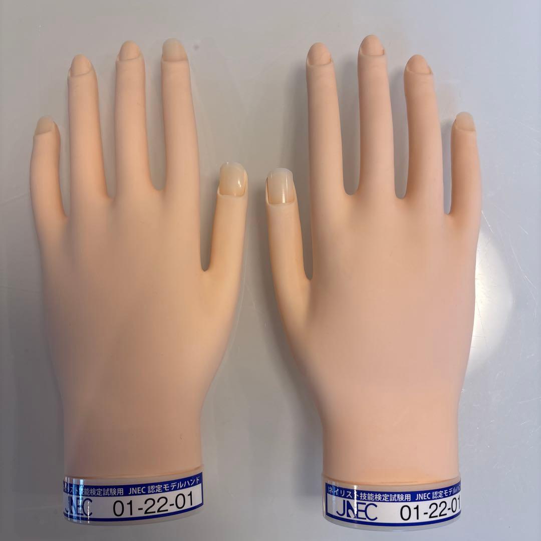 JNEC ネイルアート練習用手モデル 01-22-01 ネイリスト技能検定試験用 JNEC認定モデルハンド/チップセット/検定用