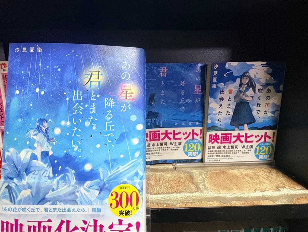 小説・漫画まとめ売り