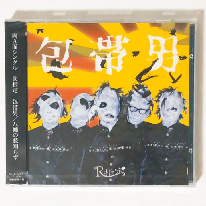 V系★R15★R指定★CD＋DVD★9点セット【2】
