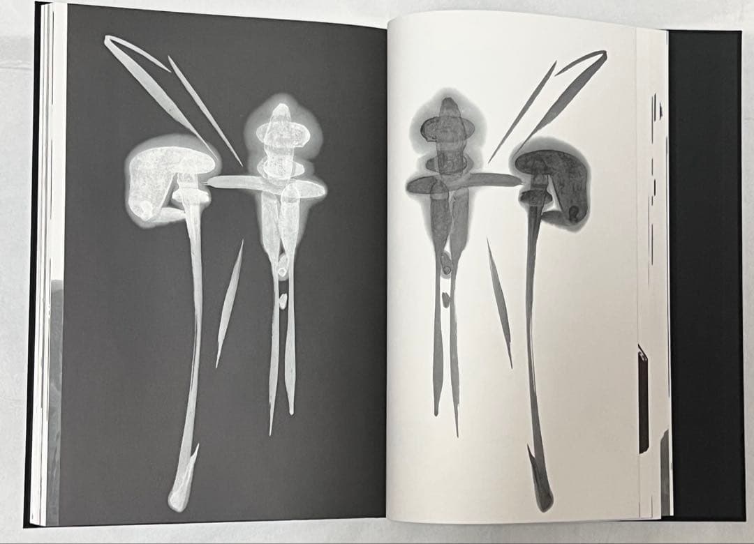 エディションナンバー入り】長野オリ書道家 増永広春氏作品集 走墨