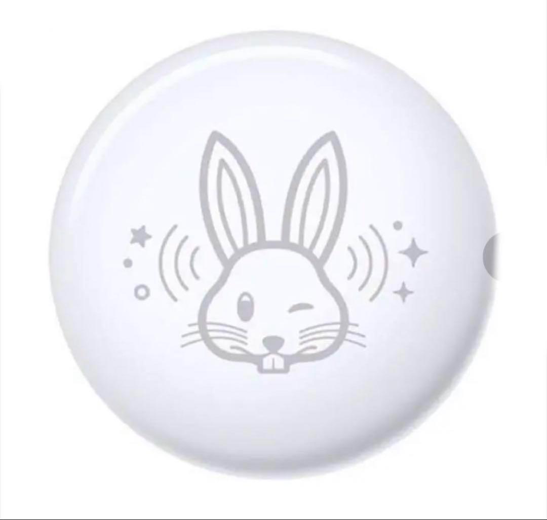 アップルストア新年限定品】開運 AirTag 2個セット（兎年1個＋巳年1