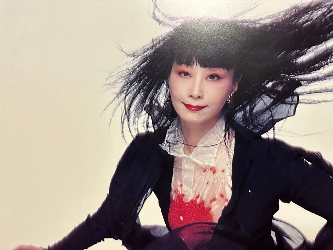 資生堂 山口小夜子 パネル2点 サクセスフルエイジング - メルカリ