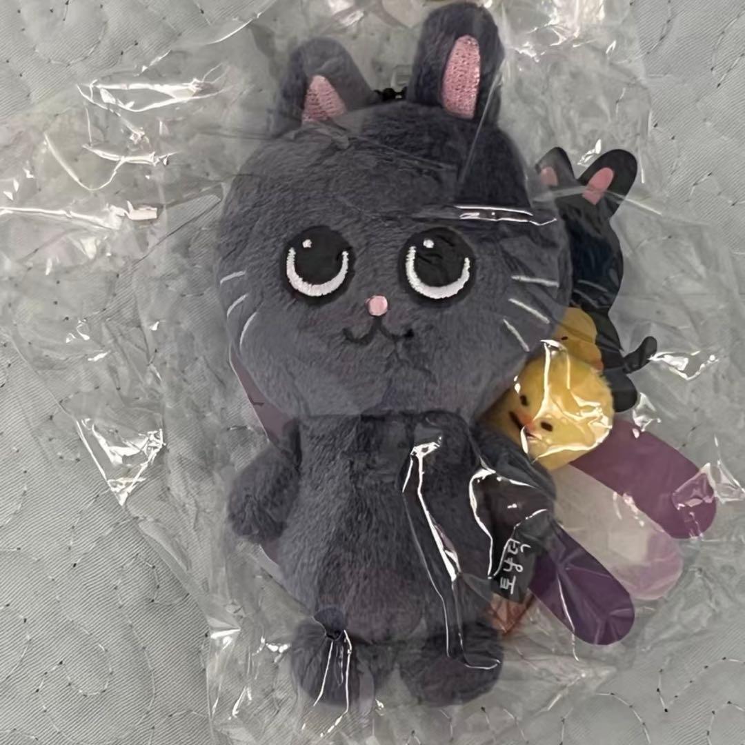 RIIZE ウォンビン ぬいぐるみ トニャンドク - メルカリ