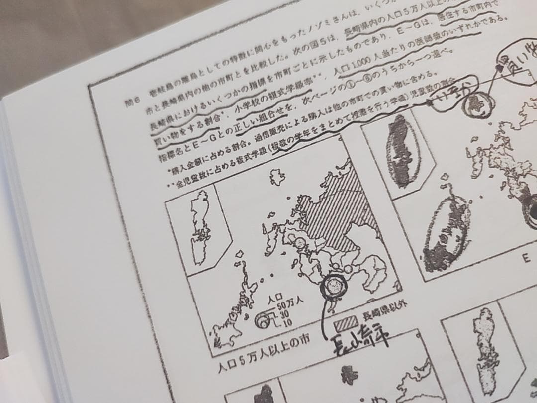駿台 岡田先生 地理配布プリント 書き込み無し 河合塾 鉄緑会 SEG 東進