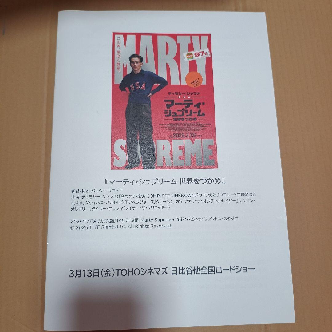 ティモシー・シャラメ 最新作マーティシュプリーム含む非売品プレス