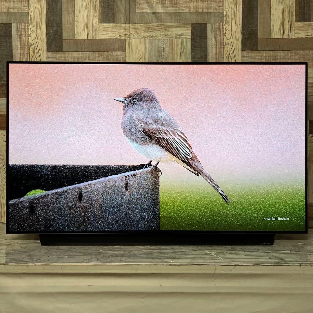 全国送料込❣️LG55型4K有機EL YouTube NETFLIX視聴可