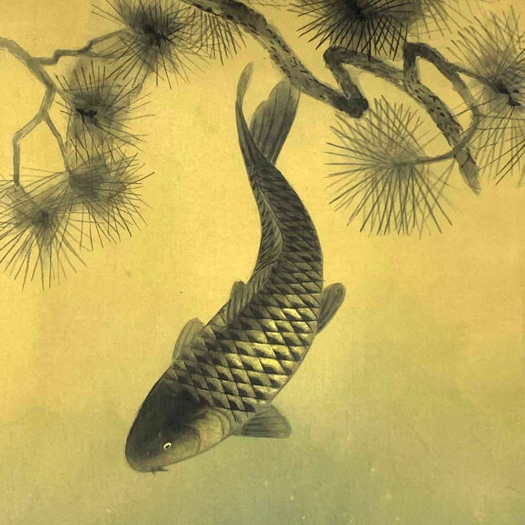 掛軸 小堀墨秀 遊鯉 共箱 二重箱仕立て 魚 縁起 松鯉 勝利 出世 A-20