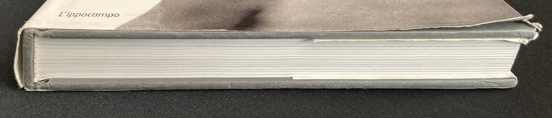 No.696《おすすめ》『（伊文）イル・ラガッツォ　少年の美と性愛について』