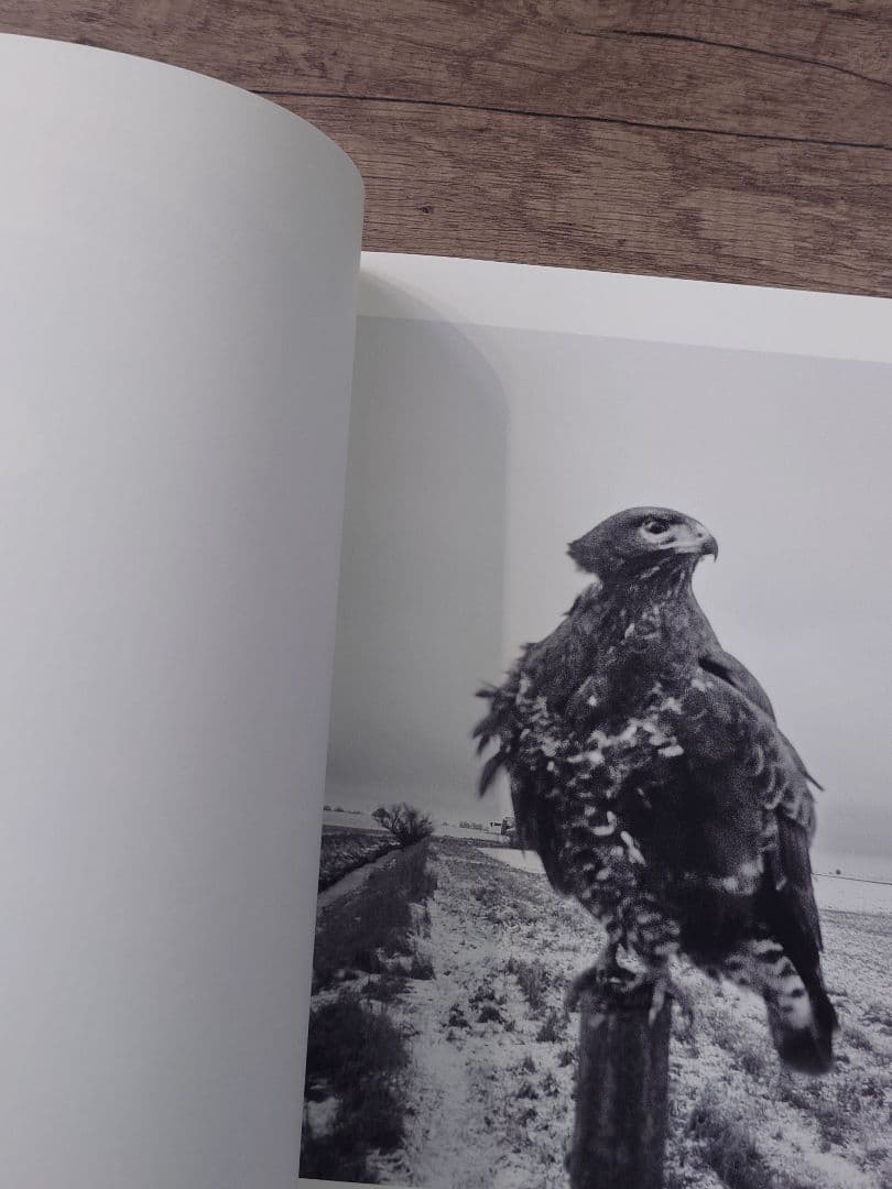 The Pillar Stephen Gill スティーブン・ギル サイン本