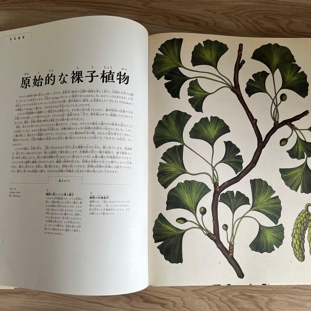 ボタニカム ようこそ、植物の博物館へ - メルカリ