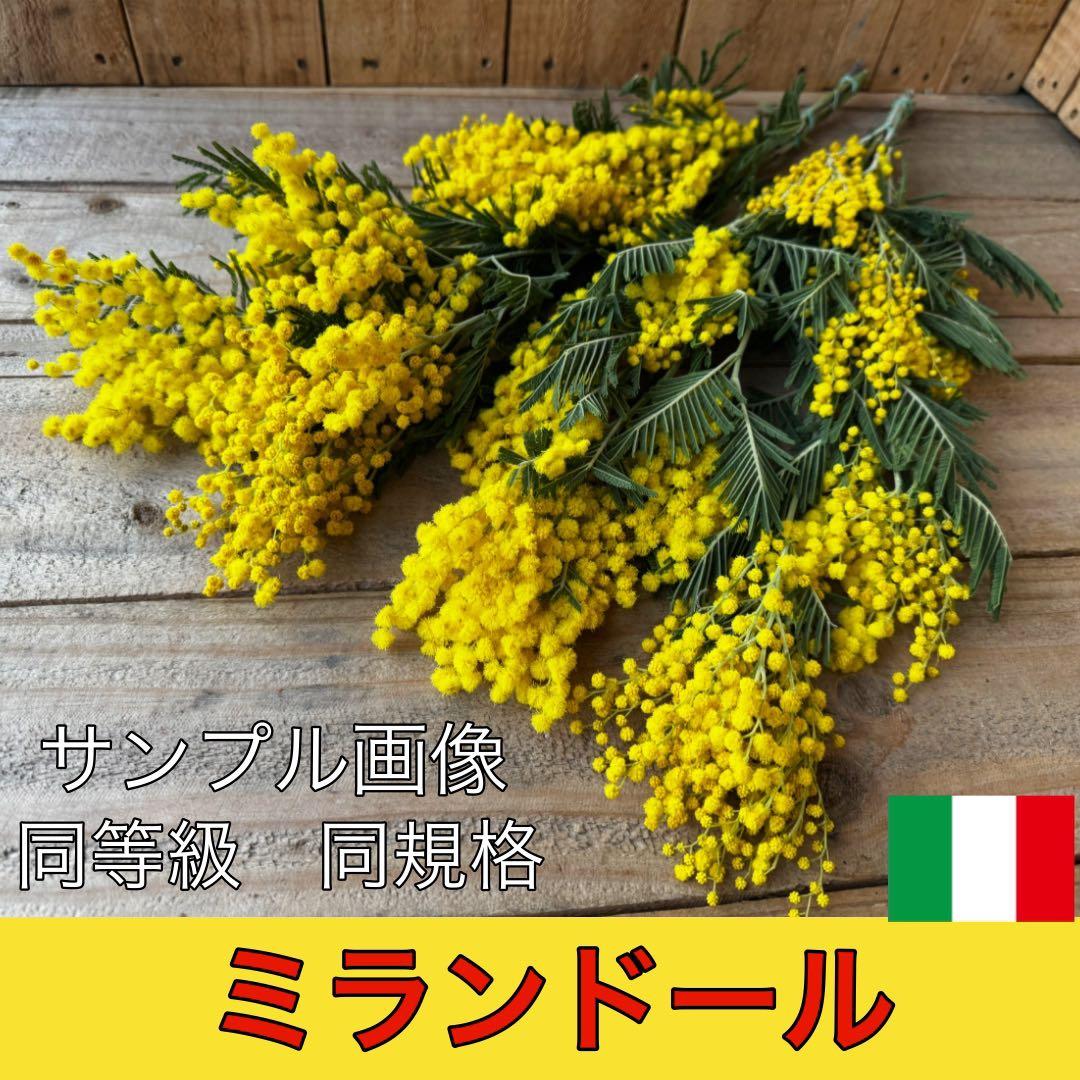 m○様 リクエスト 2点 まとめ商品 みもざ様 リクエスト 2点 まとめ商品 - メルカリ