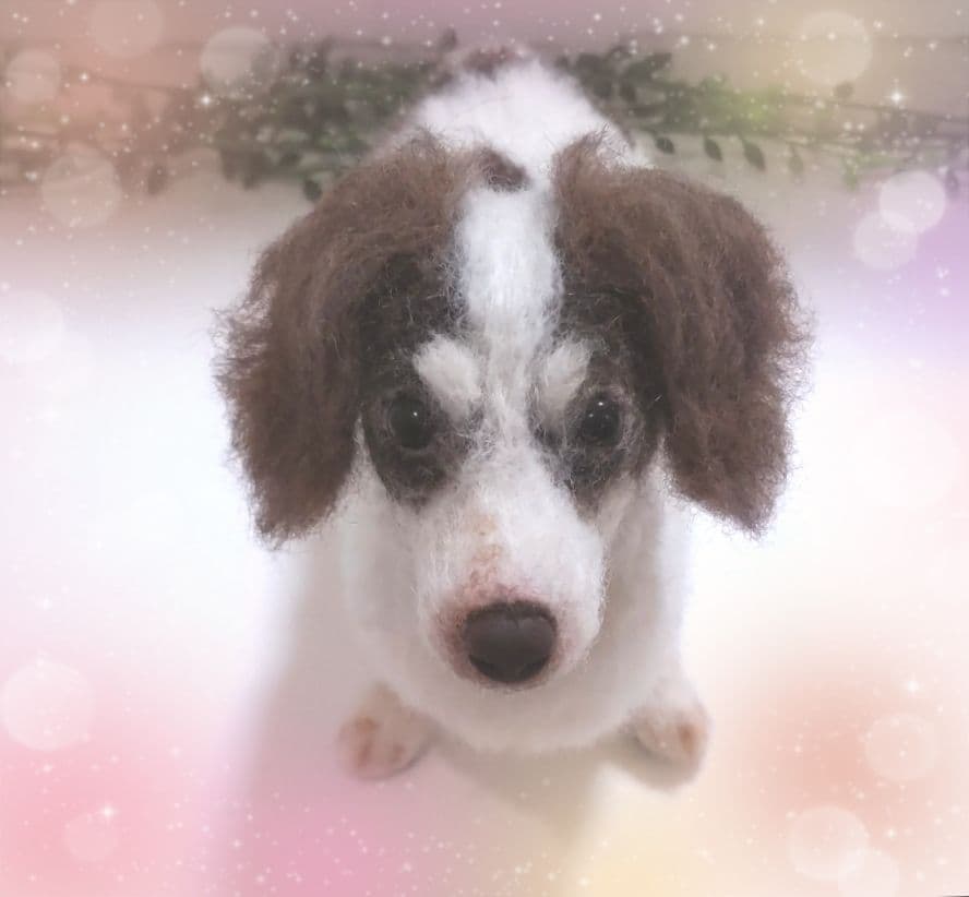 SASHA♡うちの子オーダー♡羊毛フェルト♪ハンドメイド☆ うちの子オーダー 羊毛フェルト | iichi 日々の暮らしを心地よくする