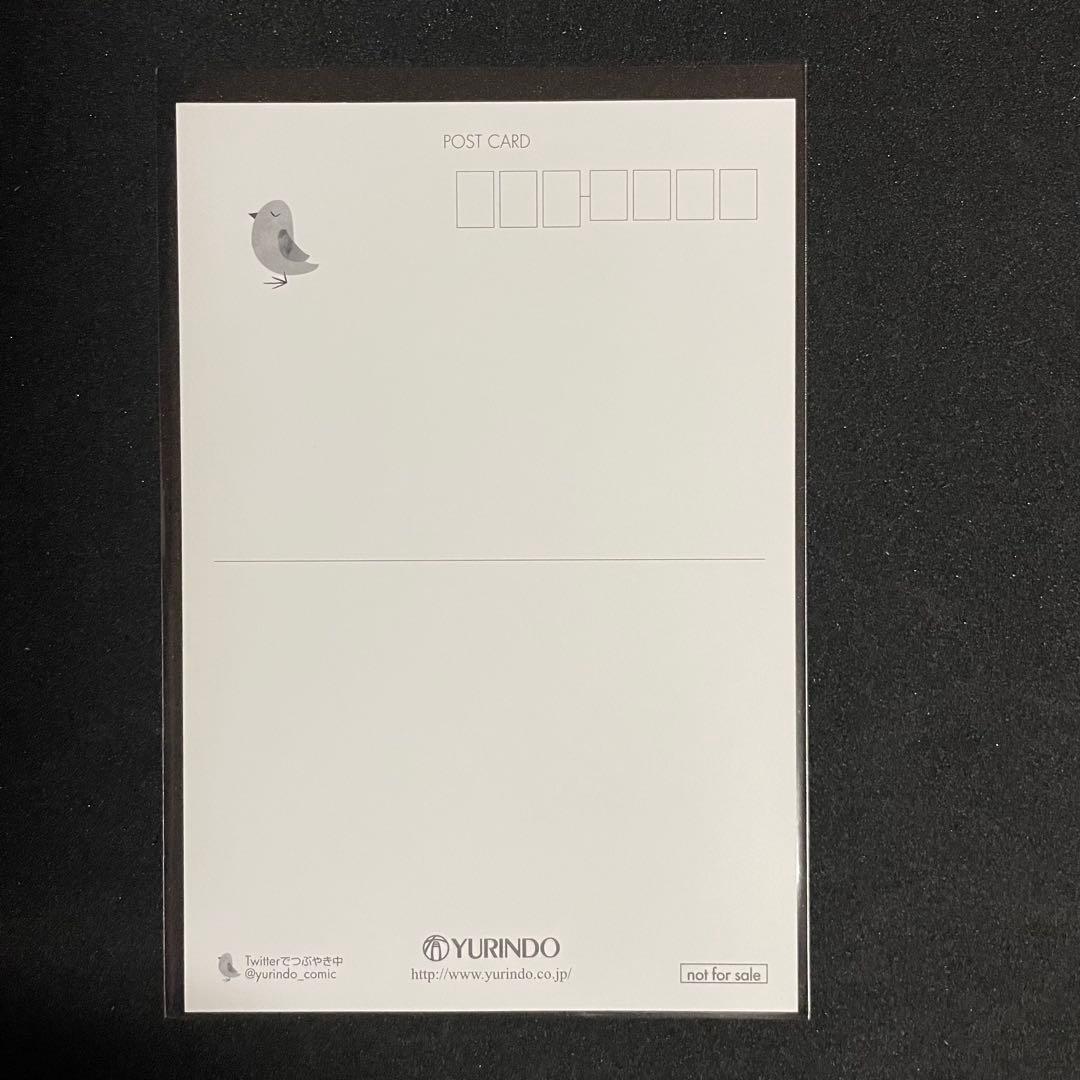 聖闘士星矢 冥王神話外伝［14巻］有隣堂特典 ポストカード 非売品