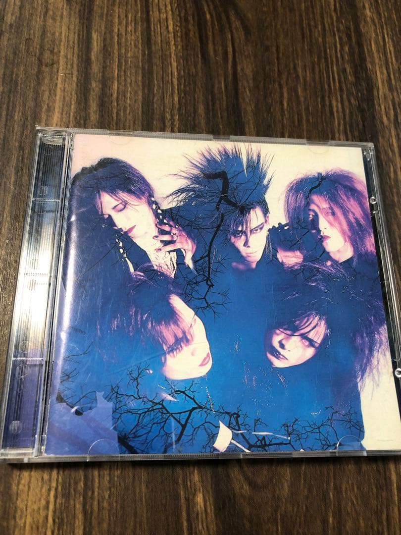 LUNA SEA インディーズ 初回限定写真集付 - メルカリ