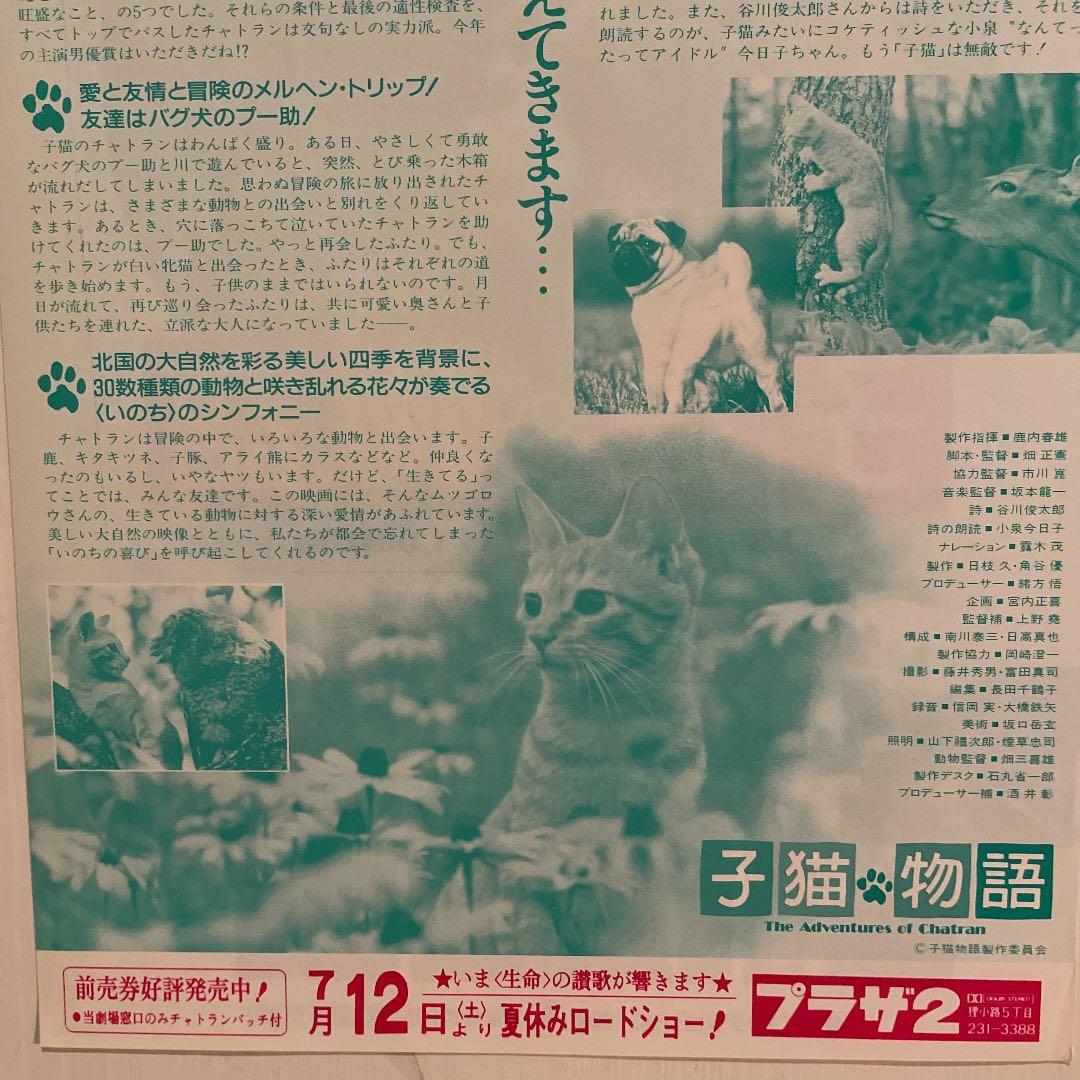 映画チラシ「子猫物語」 - メルカリ
