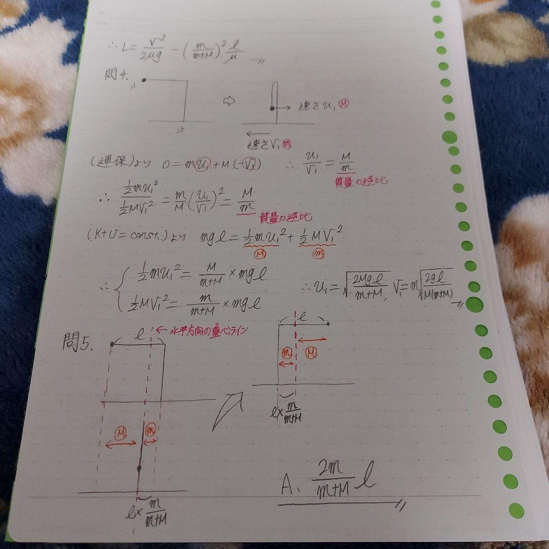 《個別売可！》駿台予備学校 ～夏期・冬期・直前期講習～ 【大阪大学(阪大)編】