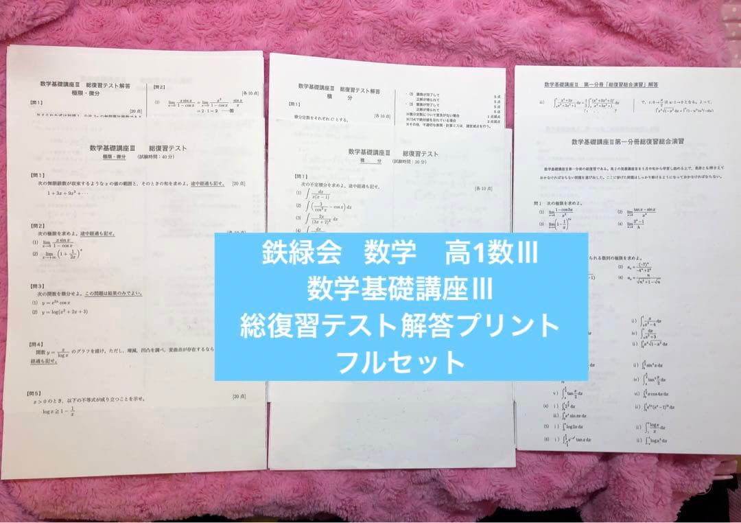 鉄緑会 数学 高1数Ⅲ 数学基礎講座Ⅲ 総復習テスト解答プリント フル