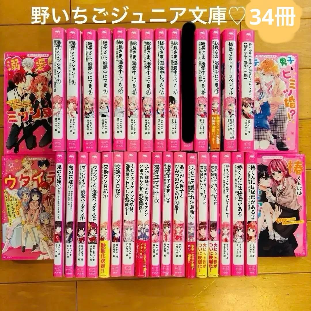野いちごジュニア文庫⭐︎溺愛⭐︎総長さま⭐︎ふたごシリーズなど34冊