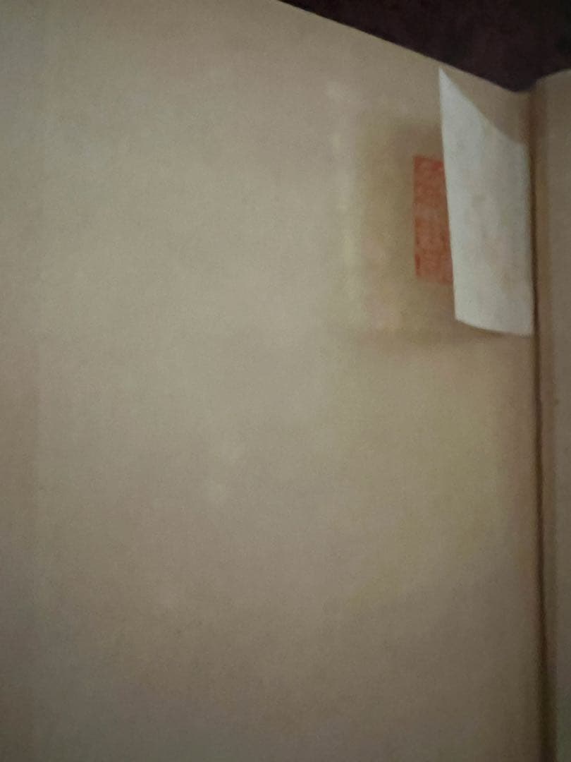 1950年代 美術書 デューラー』 アンリ・ルジョン著 成田重郎訳