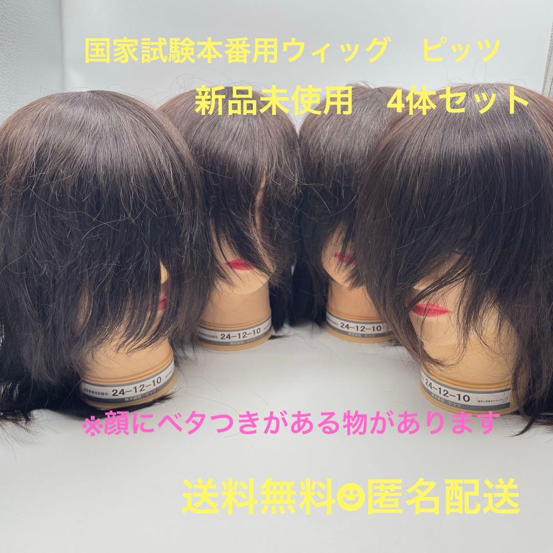 カットウィッグ　カットマネキン　美容師　国家試験　ピッツ カットウィッグ 美容師 マイスター 国家試験 練習 美容師国家試験 練習