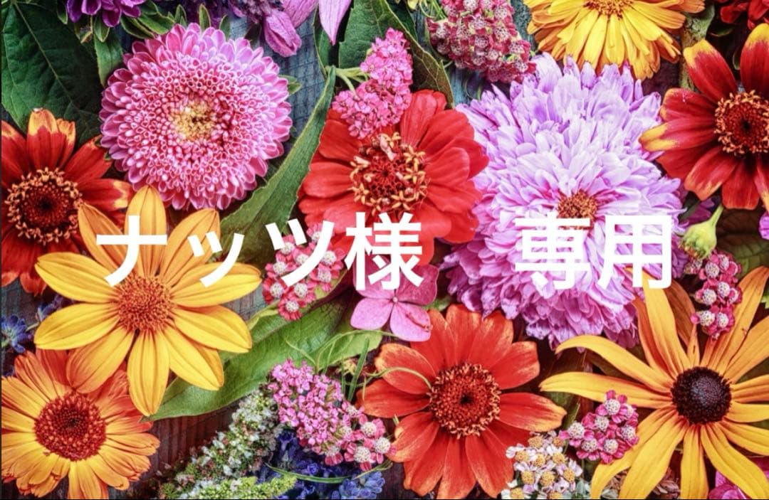 ナッツ 500g 素焼きミックスナッツ | ナッツ・こだわり素材 | でん六