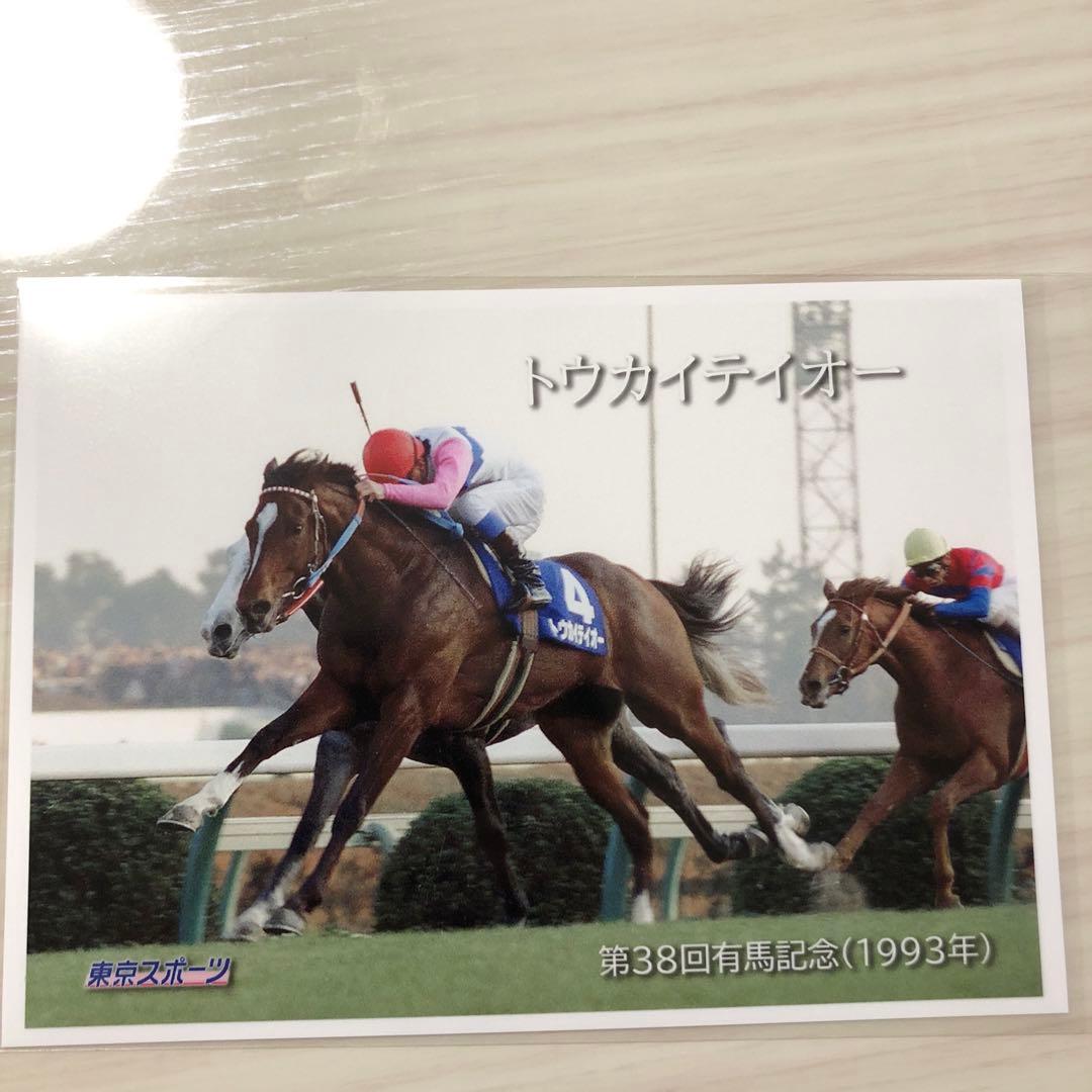 トウカイテイオー 第38回有馬記念 1993年 - メルカリ