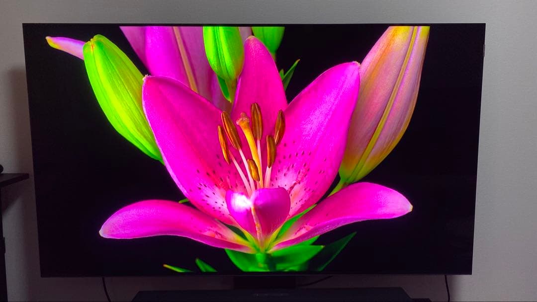 2024年最上位モデル TCL C855 65インチ - メルカリ