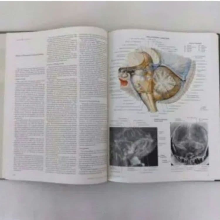 洋書 ・希少 CIBA医学イラスト集第1巻 Ⅰ フランクH.ネッター／英語版