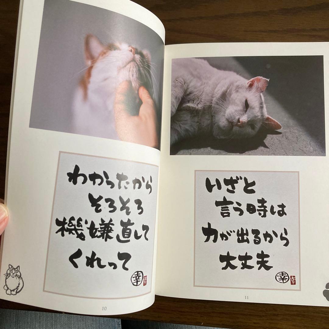 THE ALFEE 坂崎幸之助 書写真集『元野良ネコ』 - メルカリ