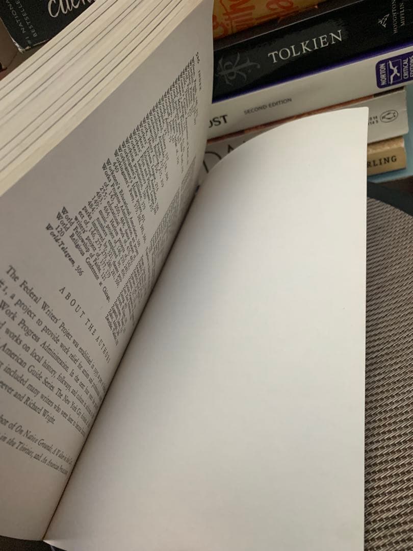 希少　New York Panorama by Alfred Kazin