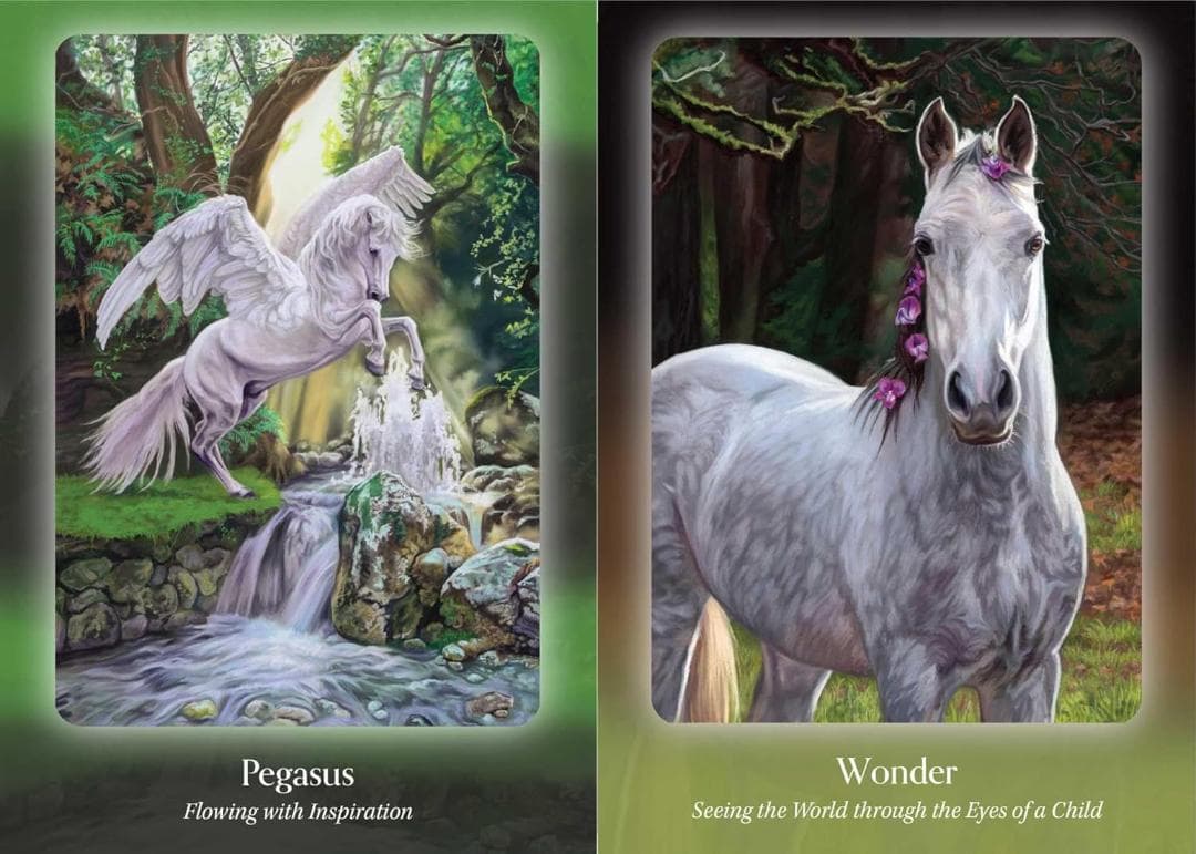 87 juno様専用☆オラクルカード - メルカリ