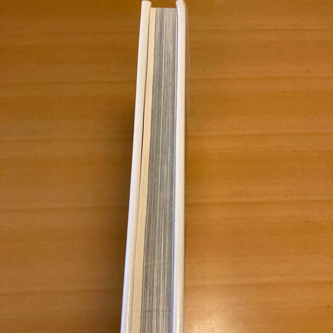 「ブリューゲル」（英文）R.H.Marijinissen / M. Seidel