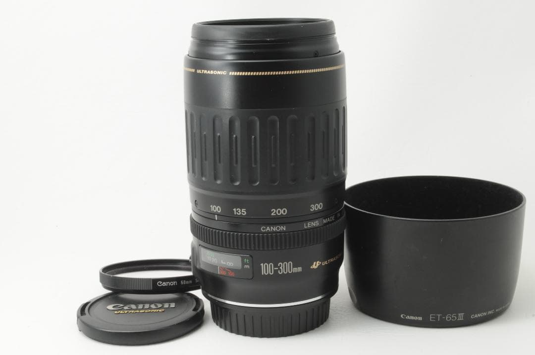 Canon キヤノン EF 100-300mm F4.5-5.6 USM